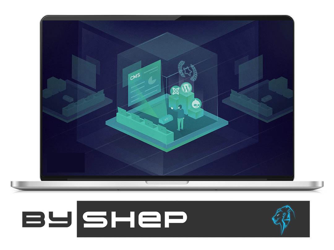 Chto vybrat samopisnyj sajt ili cms