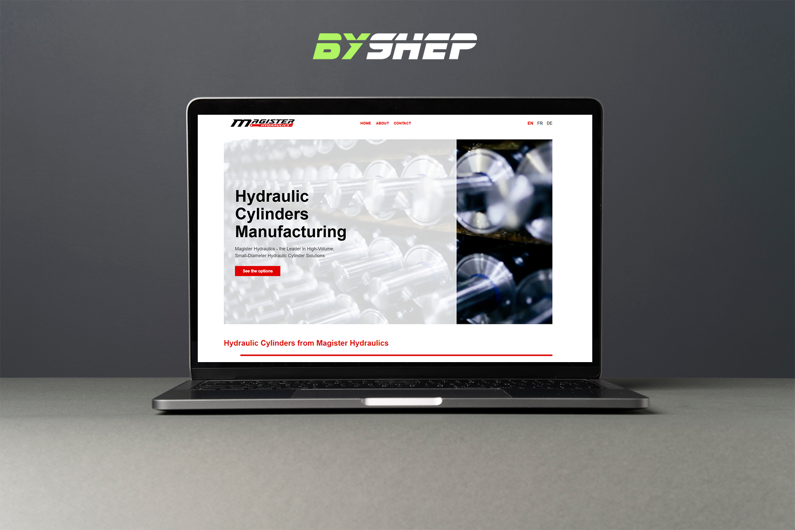 Односторінковий сайт